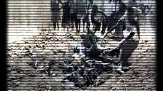 Il Teatro Degli Orrori - Padre Nostro (videomaking.from.dMNightground)