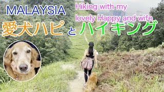 Bukit Sri Bintang Hiking with Happy!! 奥さん＆愛犬ハピとハイキング！