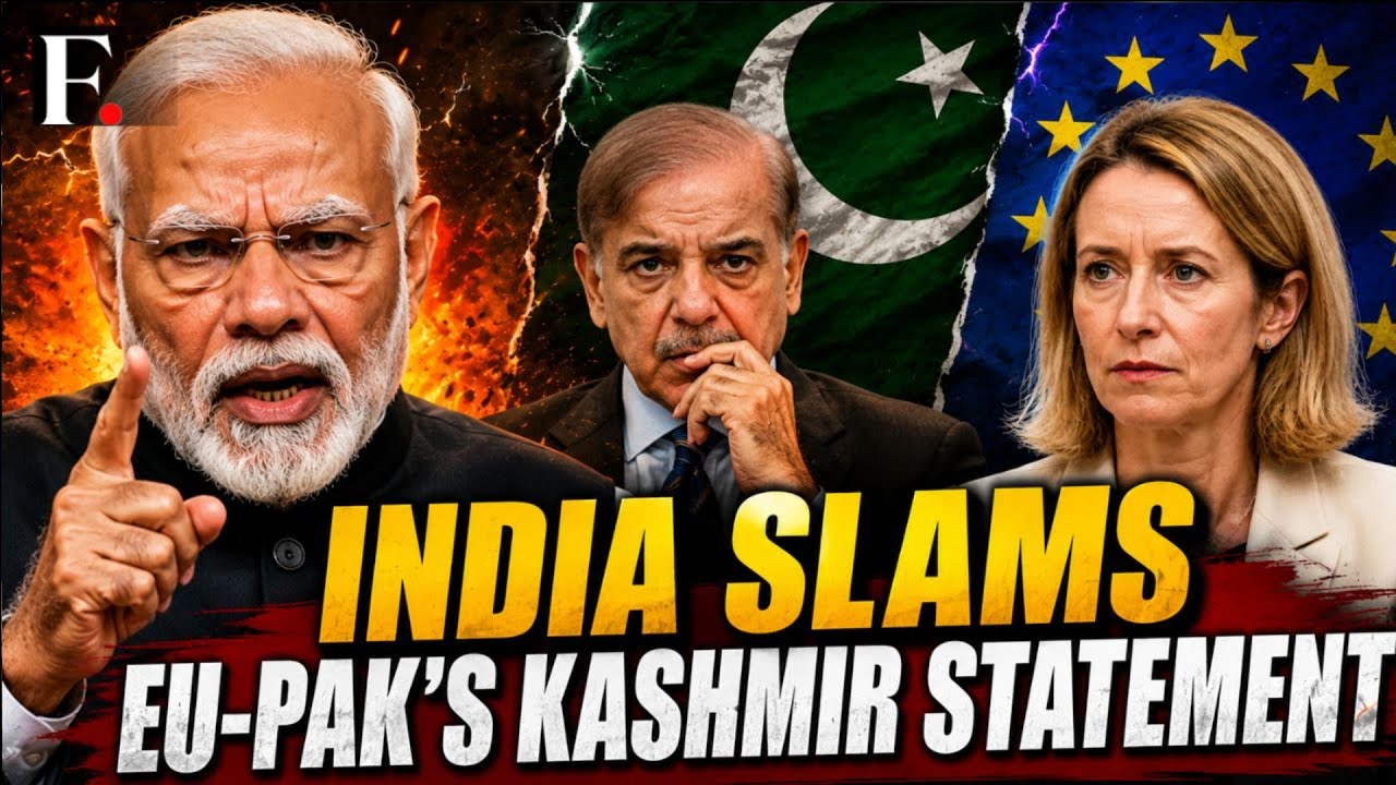 India 'Categorically Rejects' EU-Pakistan Remarks on Jammu and Kashmir | Nepal Border