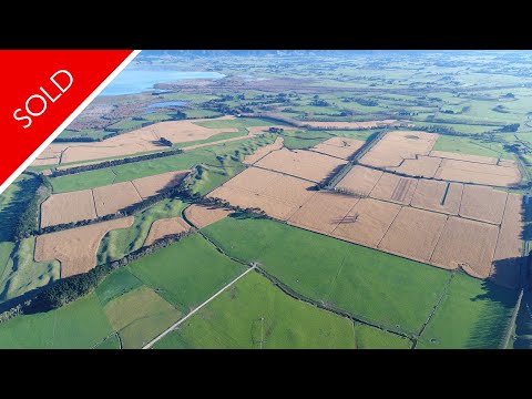 SOLD- Papakowhai   343 Hectares, Kahutara, South Wairarapa- SOLD by NZR