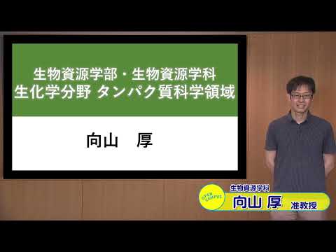 ～タンパク質科学分野紹介～　福井県立大学　向山　厚　准教授