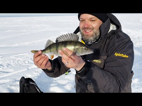 Perämeren ahvenet - Uusia pilkkitekniikoita Lumijoen Varjakassa