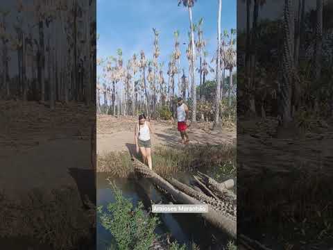 araioses Maranhão nos Carnaubal.