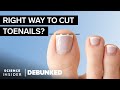 Podiatrists Debunk 11 Feet Myths Debunked Science Insider