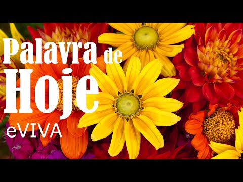 WORD OF THE DAY OCTOBER 3, 2023 | DAILY DEVOTIONAL | MOTIVATIONAL AND LIFE REFLECTION eVIVA