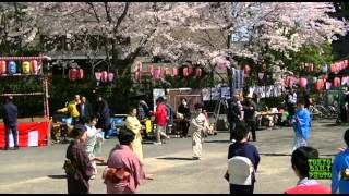 preview picture of video 'Hanami festival dancing, Edogawabashi Tokyo, Japan.'