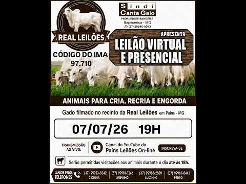 150º Leilão Virtual - Real Leilões - Pains MG