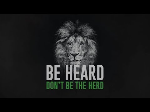 Videos from The Go-To Guy!