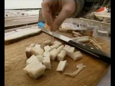 Eishai (Hákarl) die Isländische Spezialität Nr.1 (1)