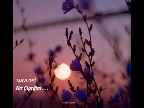 Mavi Gri - Kır Çiçeğim ( sözleri / lyrics )