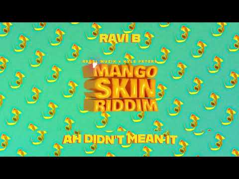 Ravi B | Ah Didn't Mean It | Mango Skin Riddim (Soca 2024)