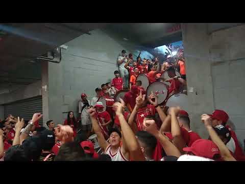 Guarda popular túnel greNAL 421 - brasileirão 2019