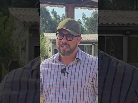 CHÁCARA DO STEFANES CASA FRUTAS ÁGUA R$ 350 MIL WHATS DELE 44 99856-8990