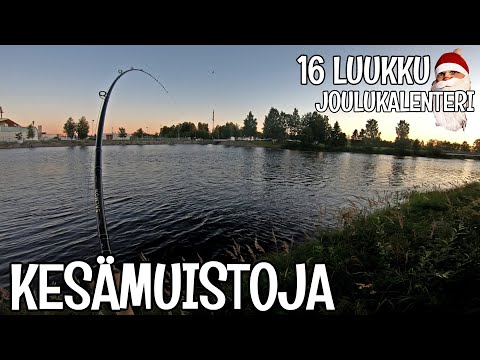 KESÄN VIIMEINEN LOHI - SPINFLUGAA JA VIEHEKALASTUSTA - JULKAISEMATONTA MATERIAALIA KESÄLTÄ