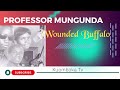 PROFESSOR MUNGUNDA WOUNDED BUFFALO