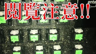 【閲覧注意】便器よりも汚いキーボードがコチラ   Razer Black widow X 【ビフォーアフター】