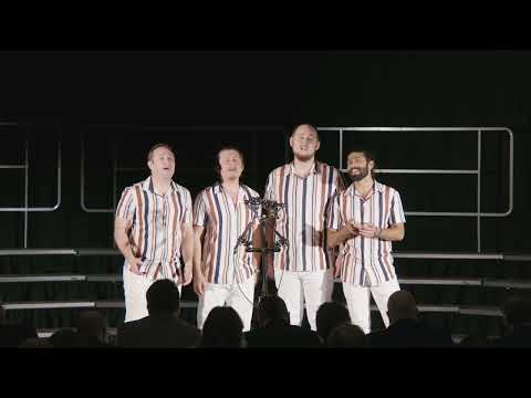 The Summertimers Harmony Band - Stardust (Hoagy Carmichael cover)