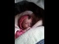 Бабочка на голове 