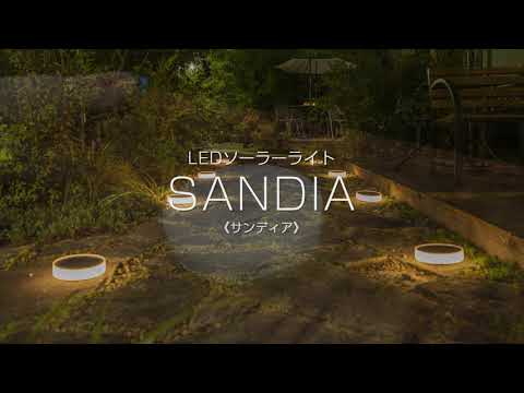 埋め込み型屋外照明コンクリート階段モダンな庭