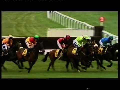 2008 JCB Triumph Hurdle