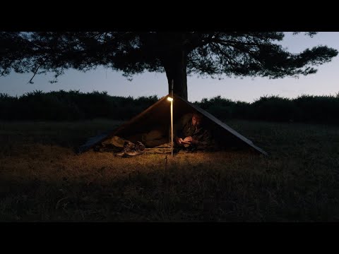 Somewhere peaceful to sleep. Woodland Wild Camping | Wildlife | Cooking