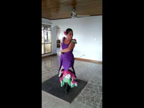 Flamenco Maria Fernanda la Chunga