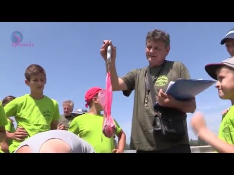 Moja lepa srbija "Bogatić", epizoda 1