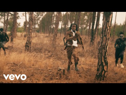 Enzo Ishall - Ndanzvenga (Official Video)