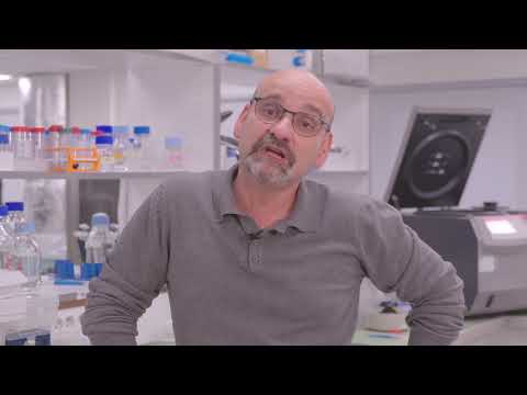 Terre de chercheurs - Maladie d'Alzheimer