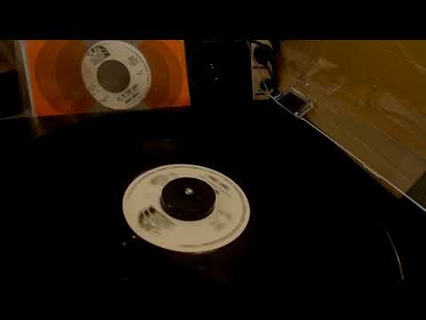 Diane Renay / Navy Blue promo 45