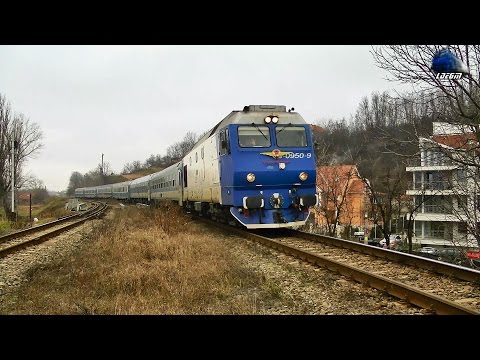 Concert de Goarne/Horns Concert by Isabella - Jimmy 65-0950-9 in Oradea - 29 January 2015