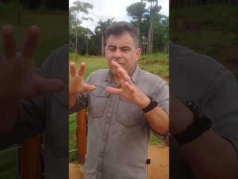 LOTEAMENTO QUASE DE GRAÇA! FLORA NOGUEIRA EM GOIANIRA GO