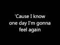 Taio Cruz - Feel Again (lyrics on screen) 
