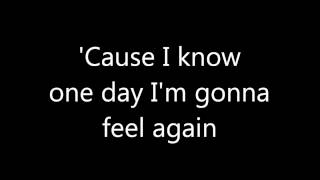 Taio Cruz - Feel Again (lyrics on screen)