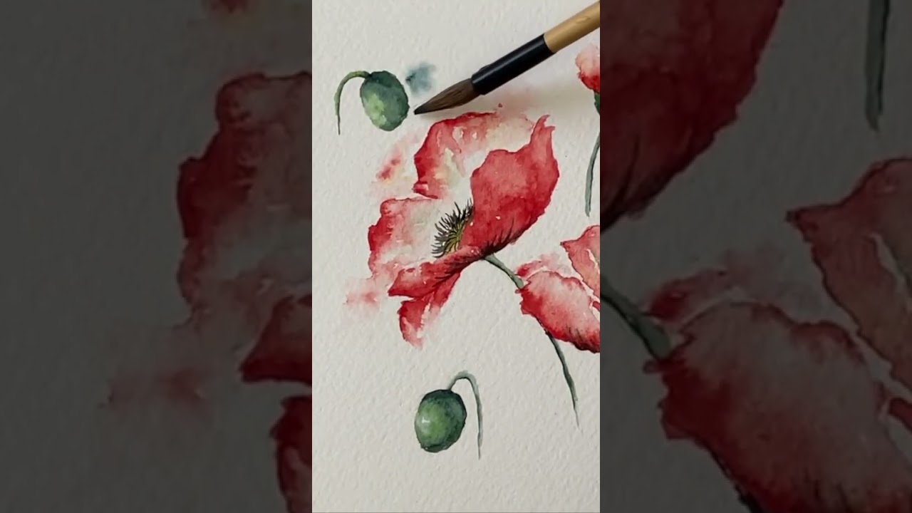 Watercolor Poppies Tutorial. Full length tutorial with explanation on @sunsetpeonies