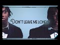Fredo Bang Say Please Don T Leave Me Lonely Lyric Visualizer Feat BigXthaPlug