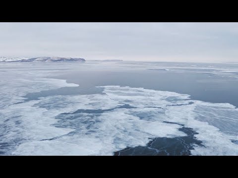 Davide Delvecchio - Freedom (official video)