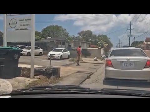 BARP condemns brazen daylight robbery of elderly man