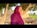 Desi Pool Mei Hui Desi Sharartein Aliza Sehar Vlogs