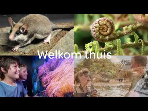 Welkom bij ARTIS