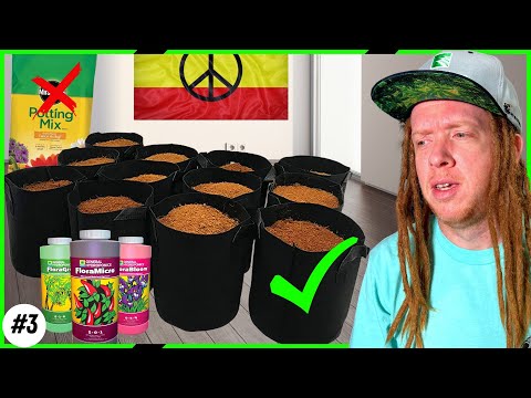 🌱Soil and Nutrient Tips for Maximum Yield