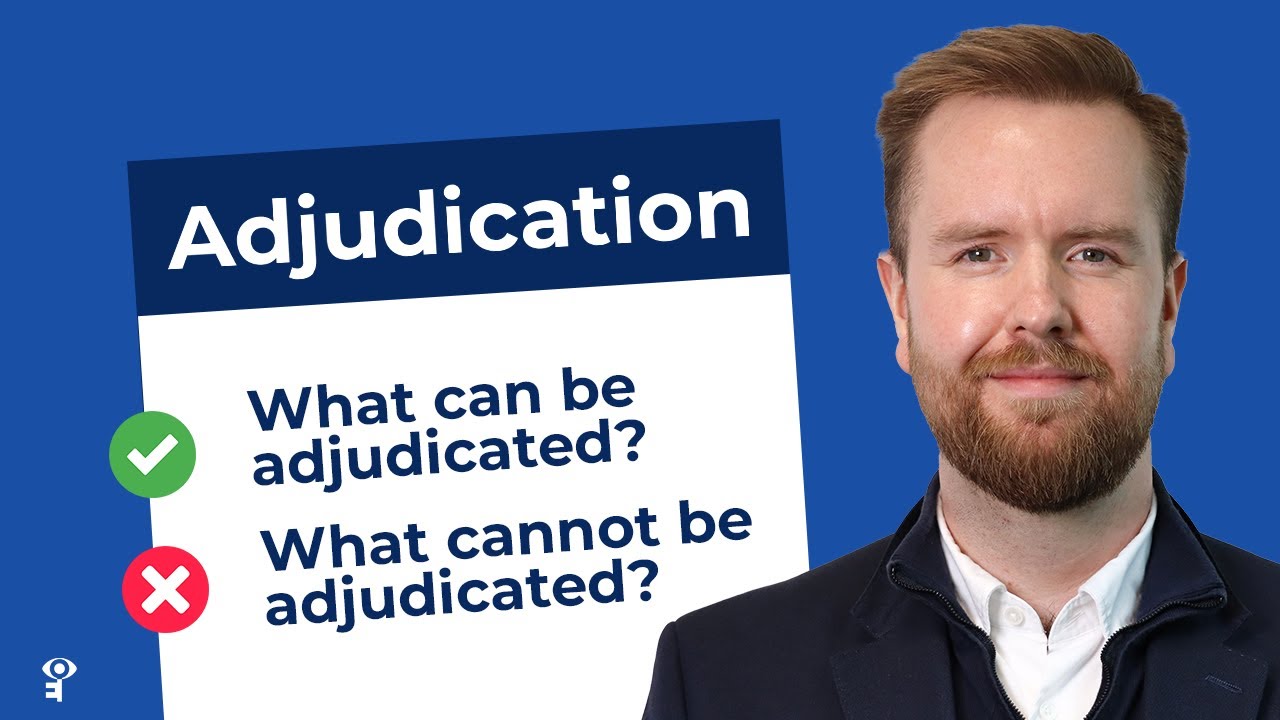 What can and cannot be adjudicated under the RICS Scheme