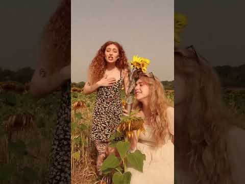 Sunflower (Cover) #postmalone
