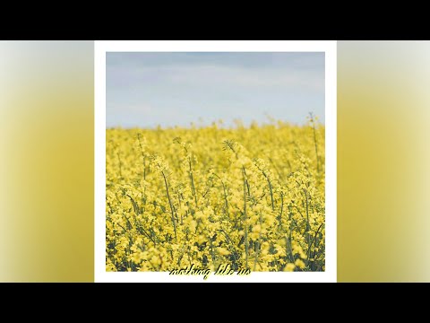 download gudang lagu mp3 terbaru 2019 Download Mp3 Bts Begin Matikiri DOWNLOAD LINKS dan kasetnya di Toko Terdekat Maupun di iTunes atau Amazon secara legal download gudang lagu mp3 terbaru 2019 Download Mp3 Bts Begin Matikiri