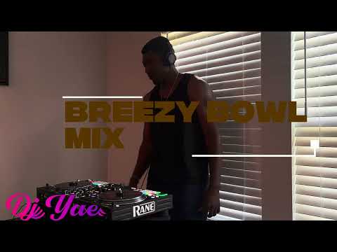 BREEZY BOWL MIX | NEW & OLD HITS FROM CHRIS BROWN