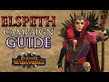 Beginner's Guide to the ELSPETH Campaign! - Warhammer 3