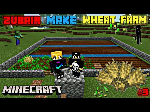 Epic Wheat Farming with Zubair in Minecraft! 🌾