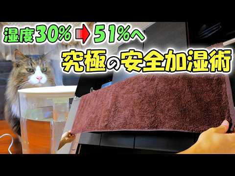 youtube-動物記事1970/01/01 09:00:00