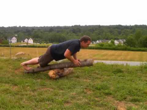 log seesaw pushup