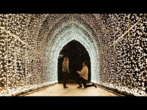 the culmination of all things